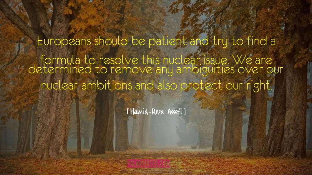 Nuclear Iran quotes by Hamid-Reza Assefi