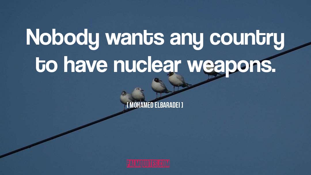 Nuclear Policy quotes by Mohamed ElBaradei