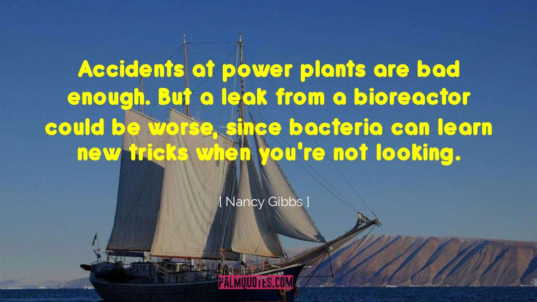 Nuclear Power Plants quotes by Nancy Gibbs