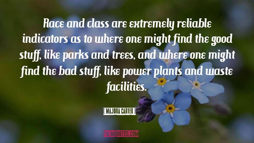 Nuclear Power Plants quotes by Majora Carter