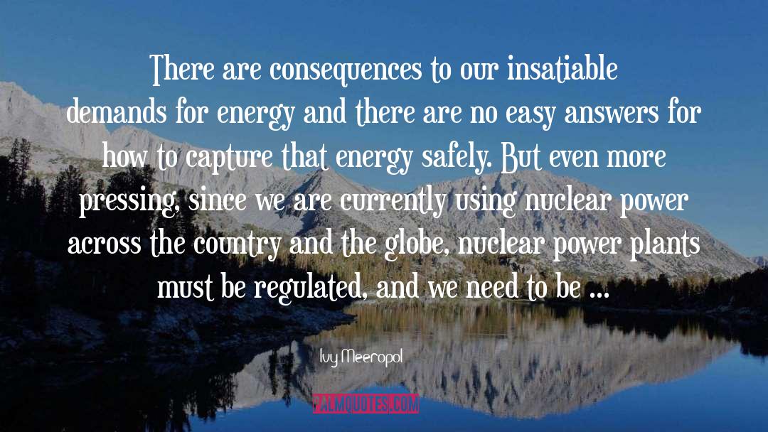 Nuclear Power Plants quotes by Ivy Meeropol