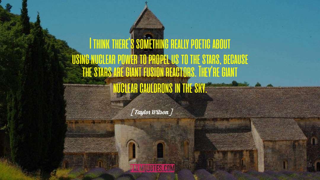 Nuclear Power quotes by Taylor Wilson