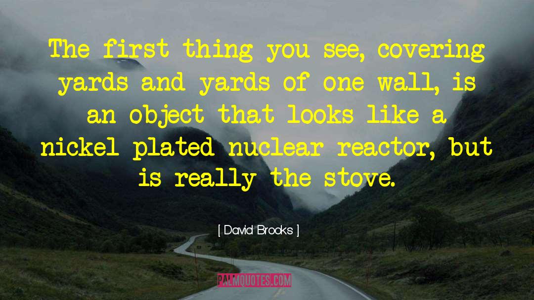 Nuclear Reactor Technology quotes by David Brooks