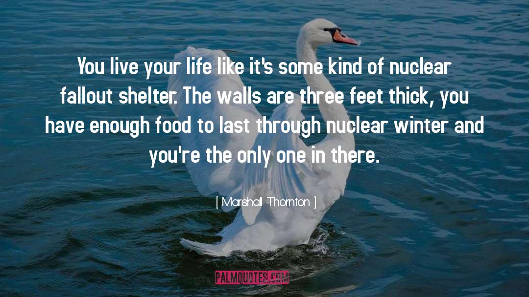 Nuclear Testing quotes by Marshall Thornton