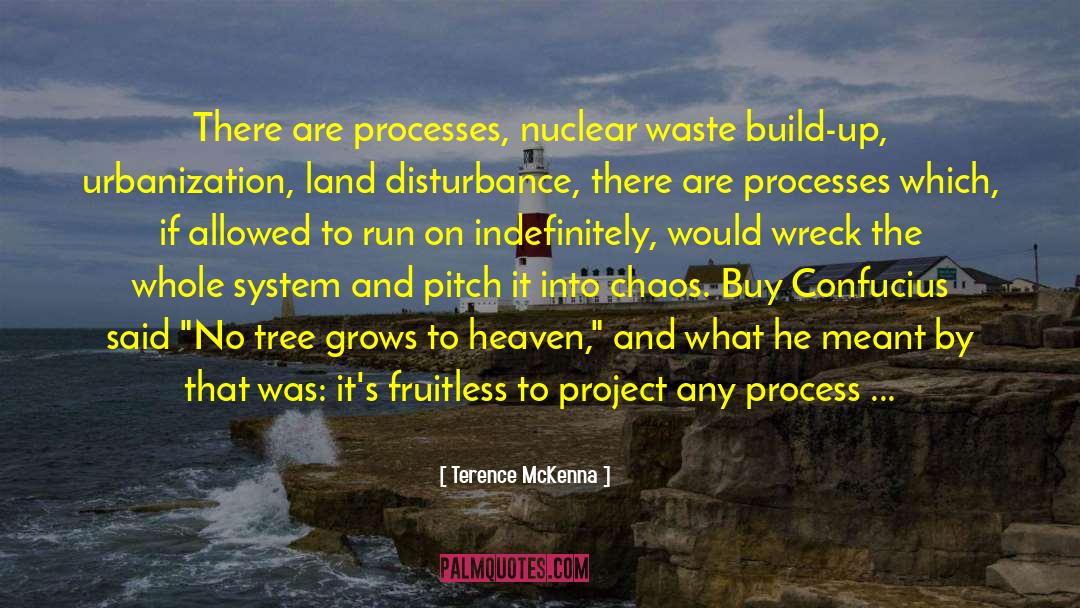 Nuclear Waste quotes by Terence McKenna