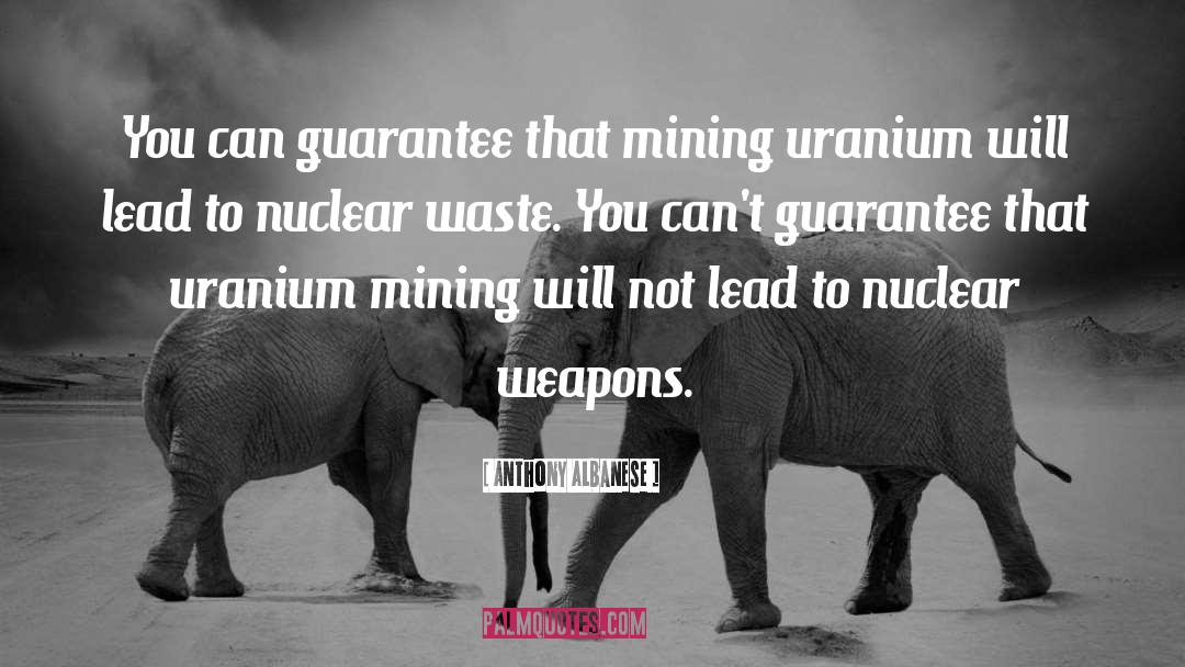 Nuclear Waste quotes by Anthony Albanese