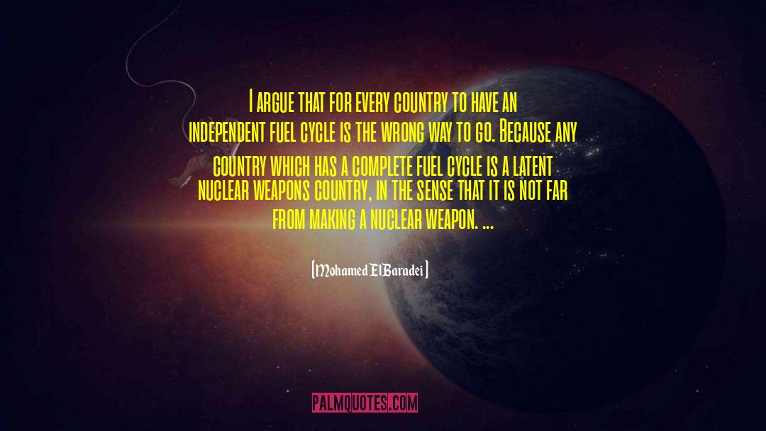 Nuclear Weapons quotes by Mohamed ElBaradei