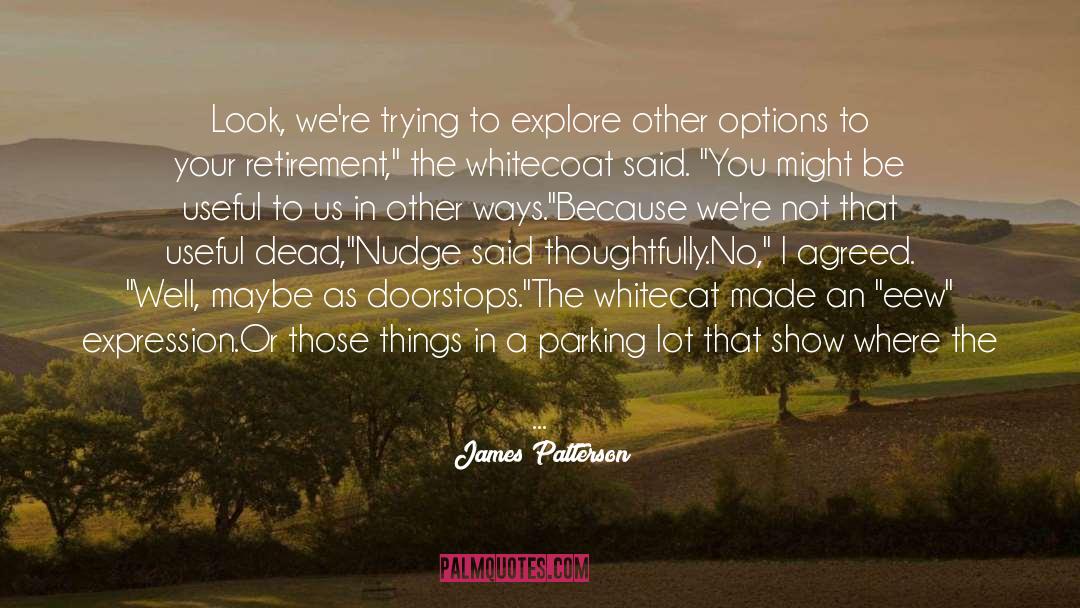 Nudge quotes by James Patterson