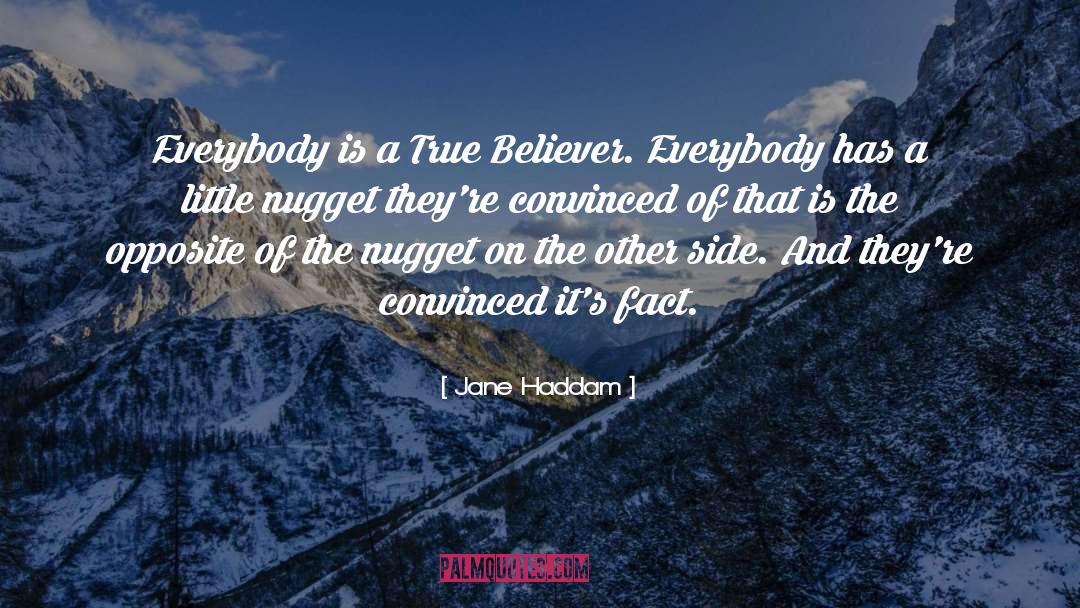 Nugget quotes by Jane Haddam