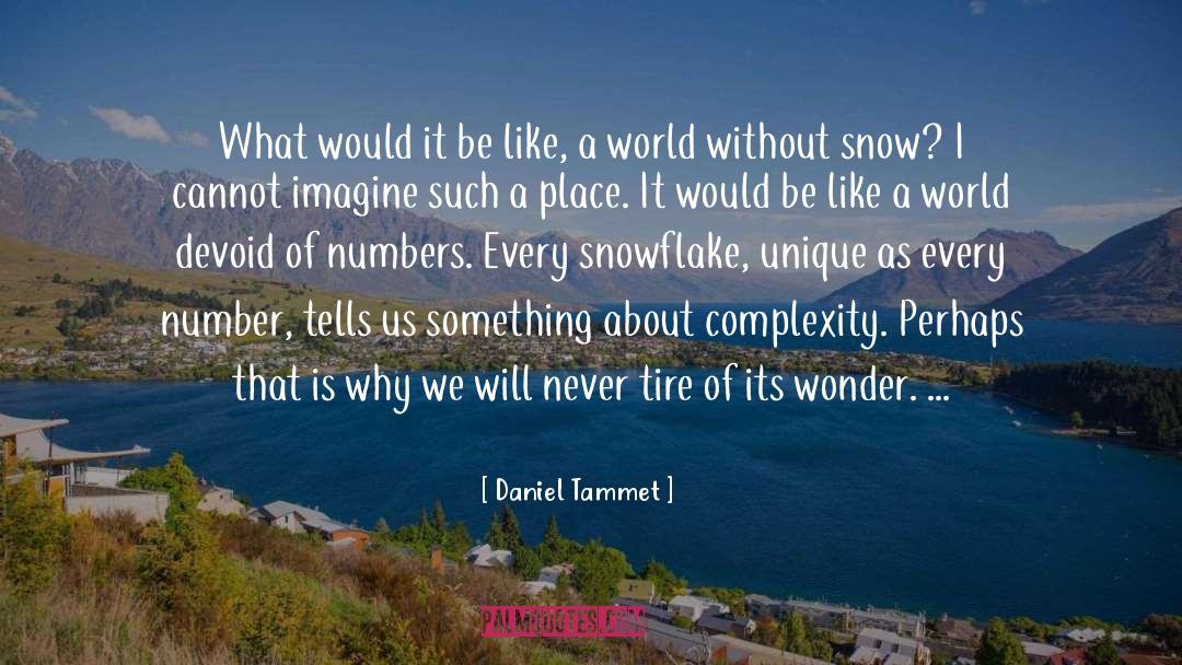 Number 3 quotes by Daniel Tammet