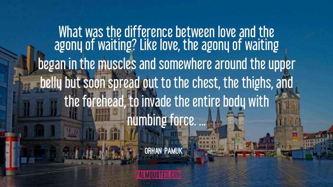 Numbing quotes by Orhan Pamuk