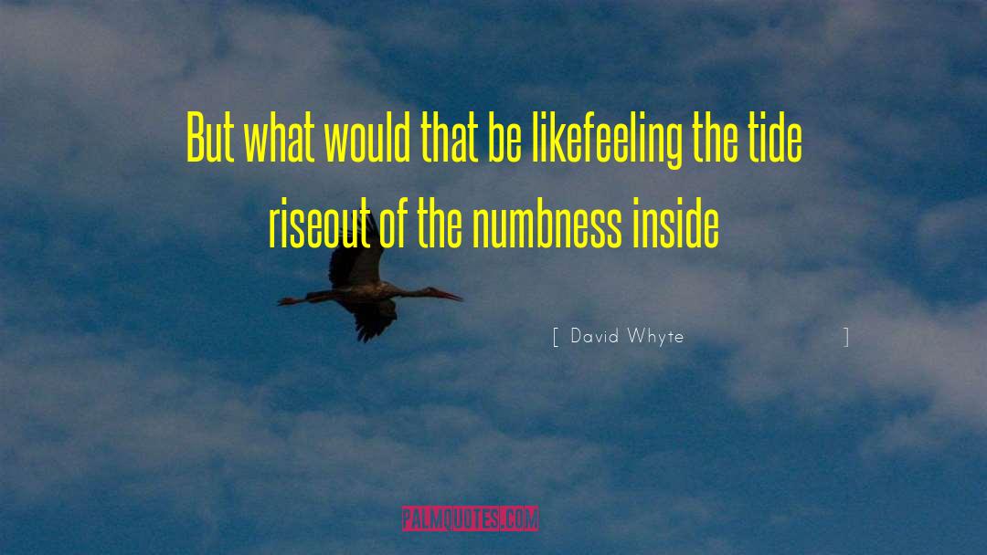 Numbness quotes by David Whyte