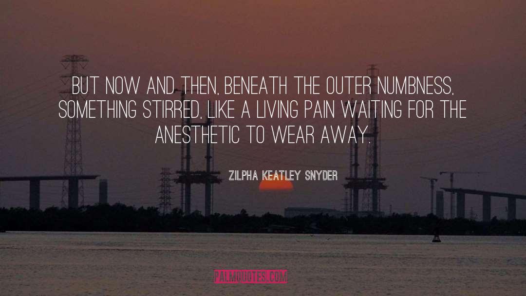 Numbness quotes by Zilpha Keatley Snyder