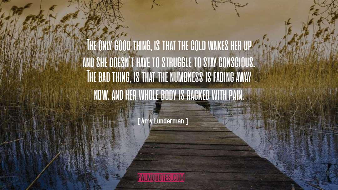 Numbness quotes by Amy Lunderman