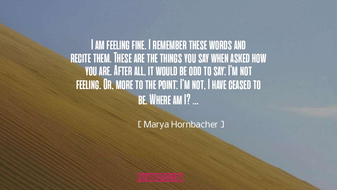 Numbness quotes by Marya Hornbacher