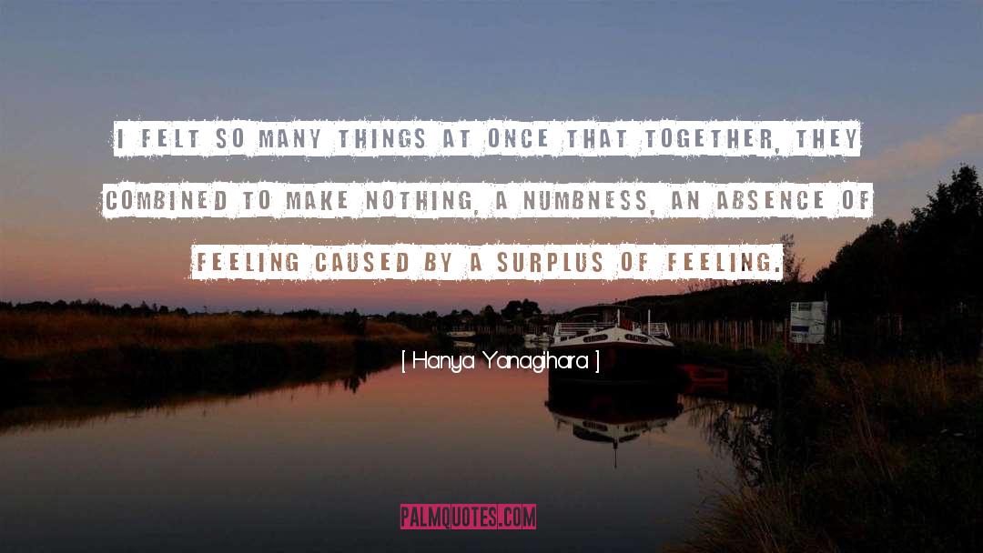 Numbness quotes by Hanya Yanagihara