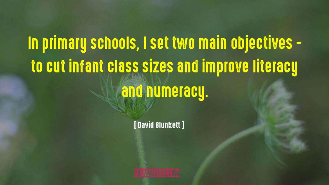 Numeracy quotes by David Blunkett