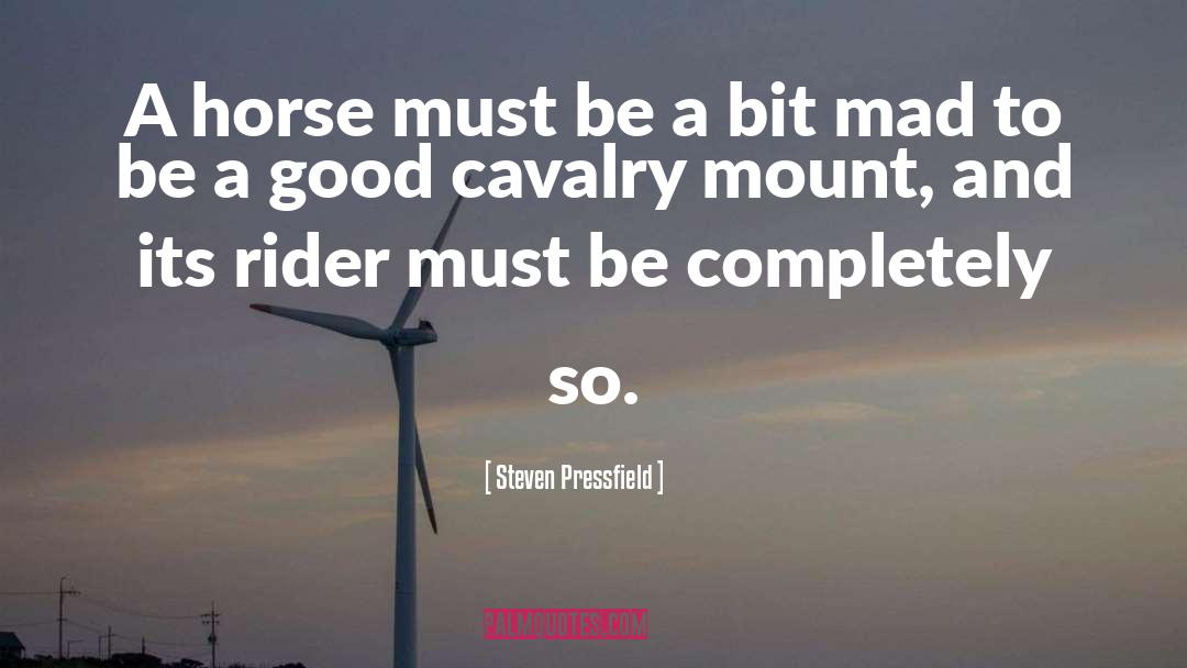 Numidian Cavalry quotes by Steven Pressfield