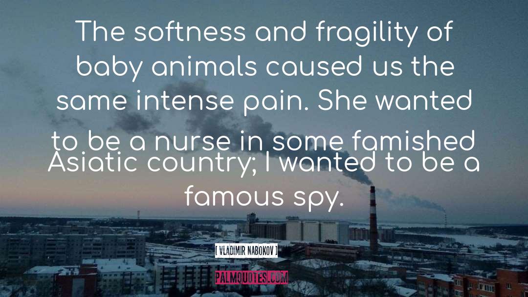 Nurse quotes by Vladimir Nabokov