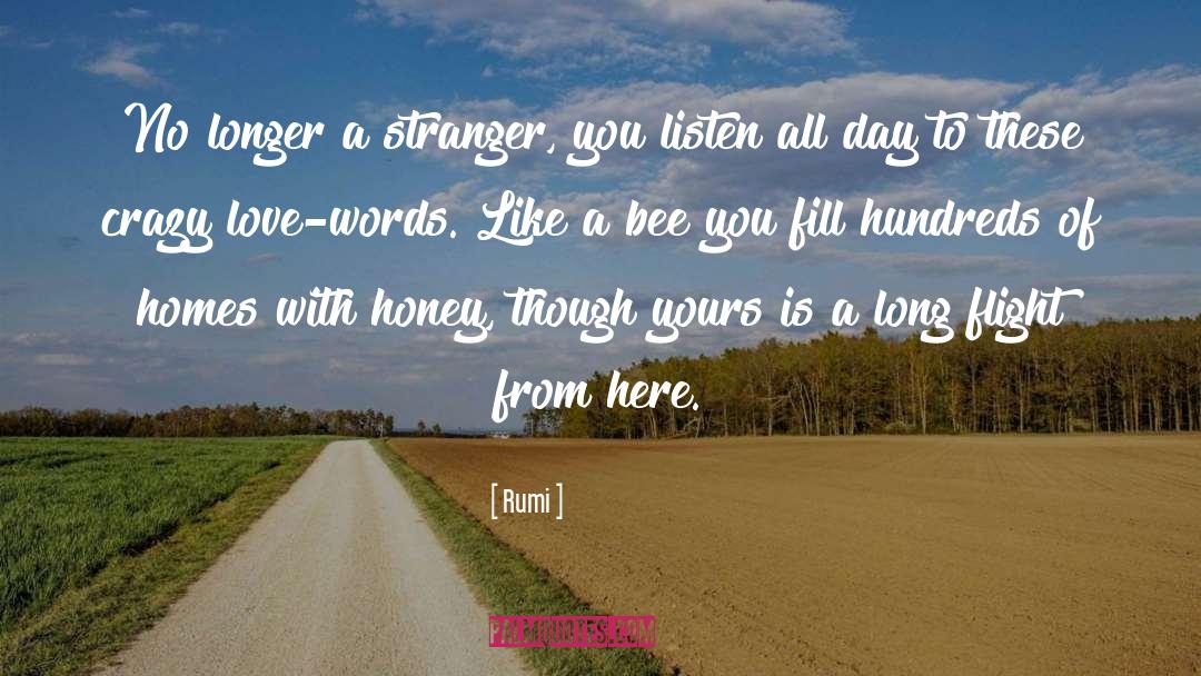 Nursing Homes quotes by Rumi