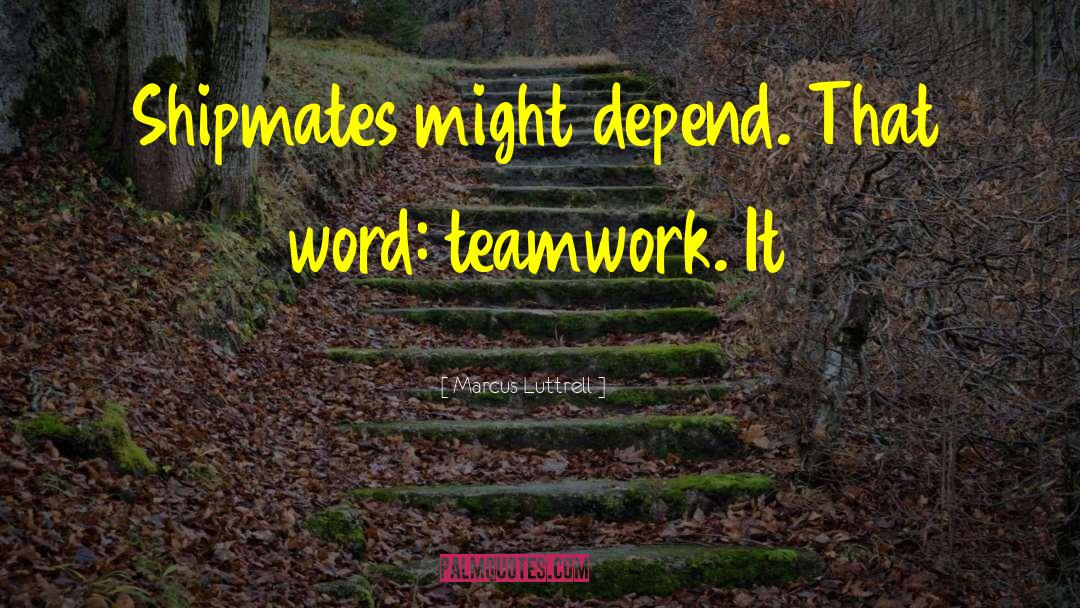Nursing Teamwork quotes by Marcus Luttrell