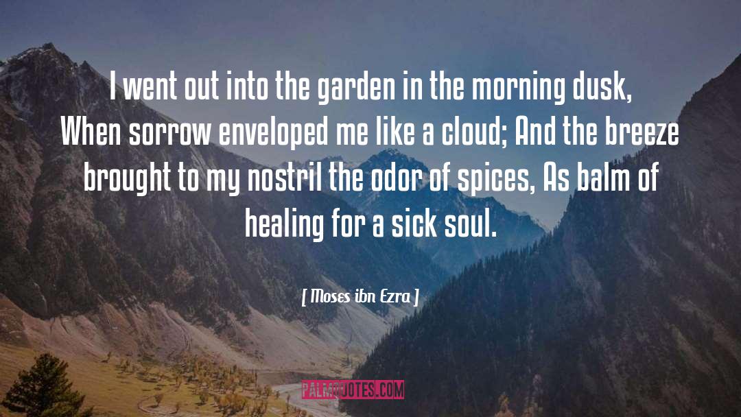 Nurture The Soul quotes by Moses Ibn Ezra