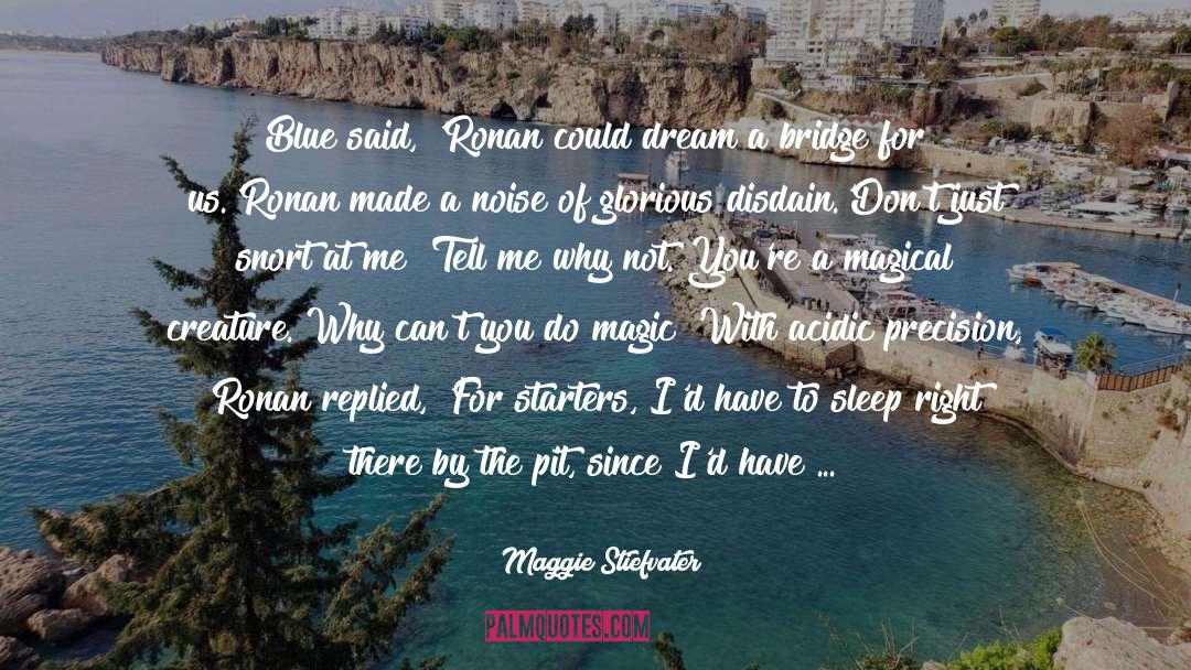 Nurture Your Dream quotes by Maggie Stiefvater