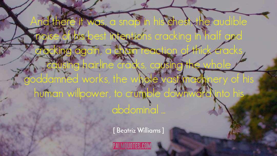 Nut Cracking Machine quotes by Beatriz Williams