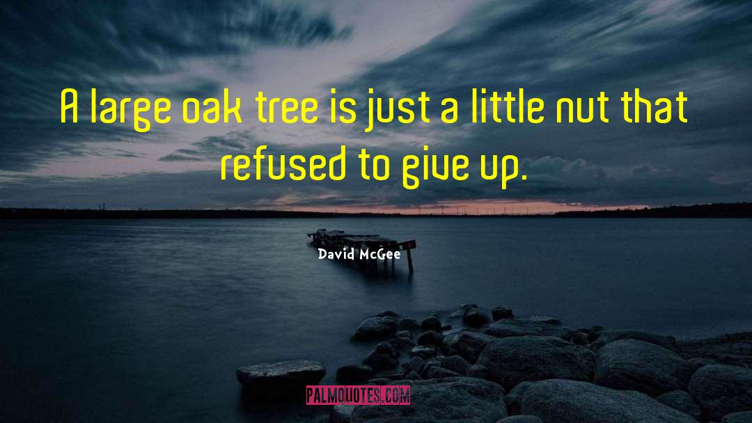 Nut quotes by David McGee