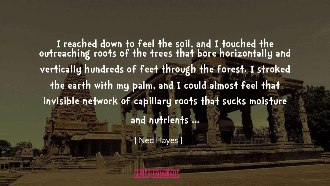 Nutrients quotes by Ned Hayes