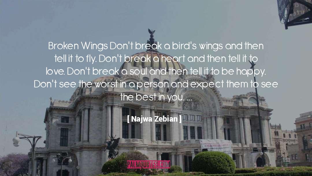 Nuttin But Wings quotes by Najwa Zebian