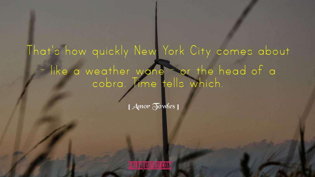 Nyc quotes by Amor Towles