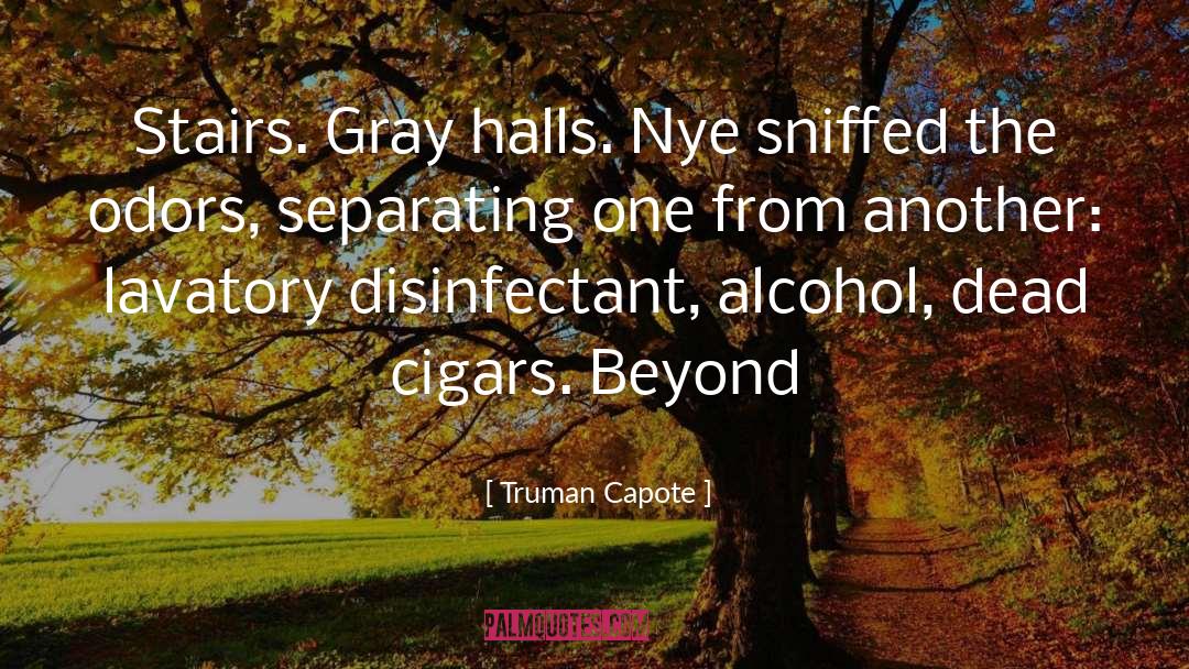 Nye quotes by Truman Capote