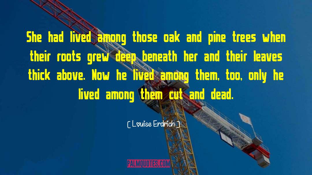 Oak quotes by Louise Erdrich