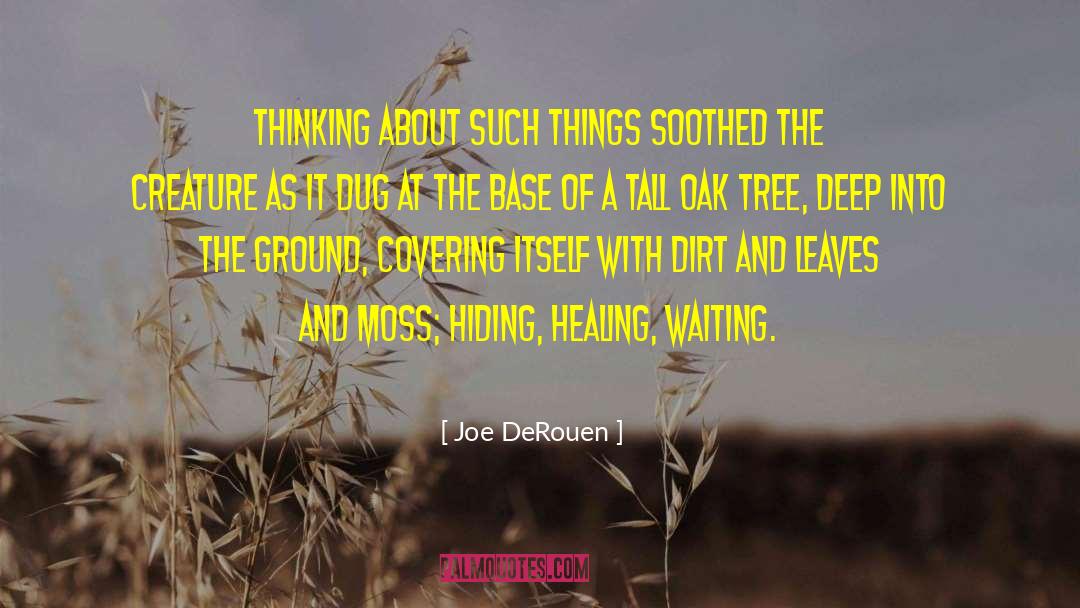 Oak quotes by Joe DeRouen