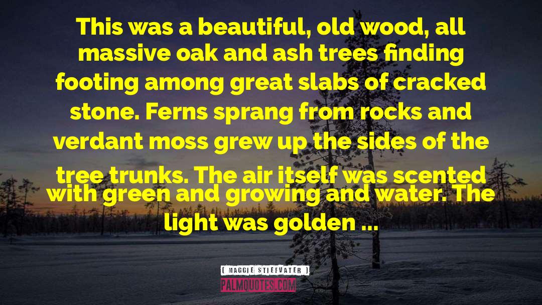 Oak quotes by Maggie Stiefvater