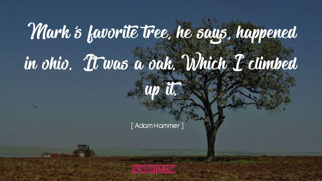 Oak quotes by Adam Hammer