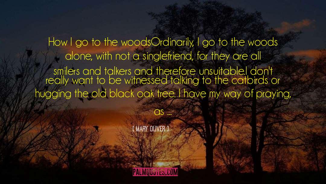 Oak Tree quotes by Mary Oliver