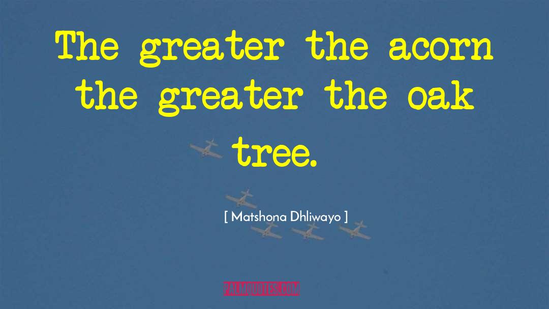 Oak Tree quotes by Matshona Dhliwayo