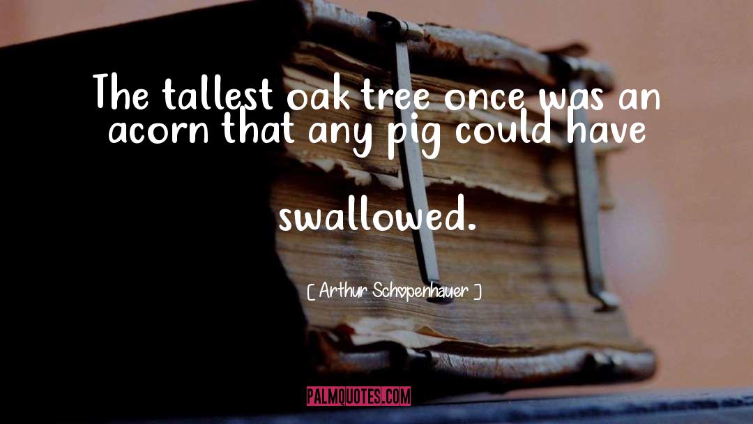 Oak Tree quotes by Arthur Schopenhauer