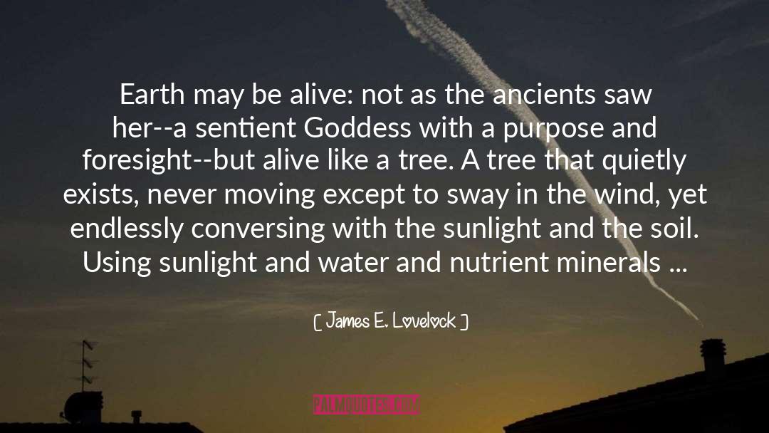 Oak Tree quotes by James E. Lovelock