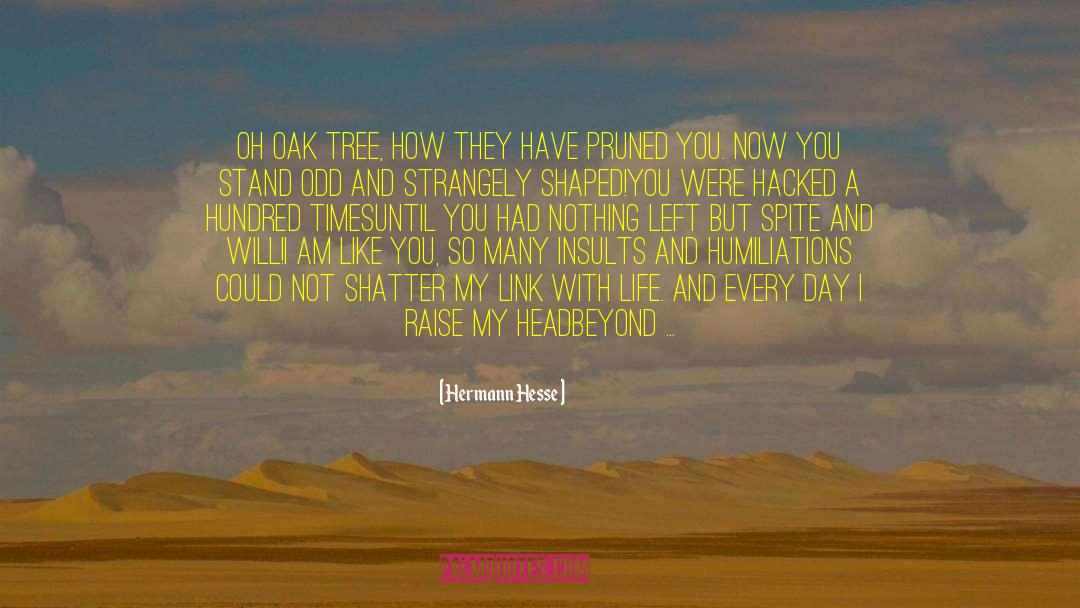 Oak Tree quotes by Hermann Hesse
