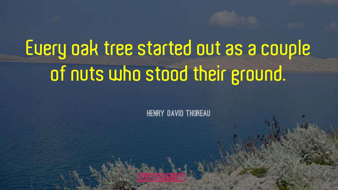 Oak Tree quotes by Henry David Thoreau