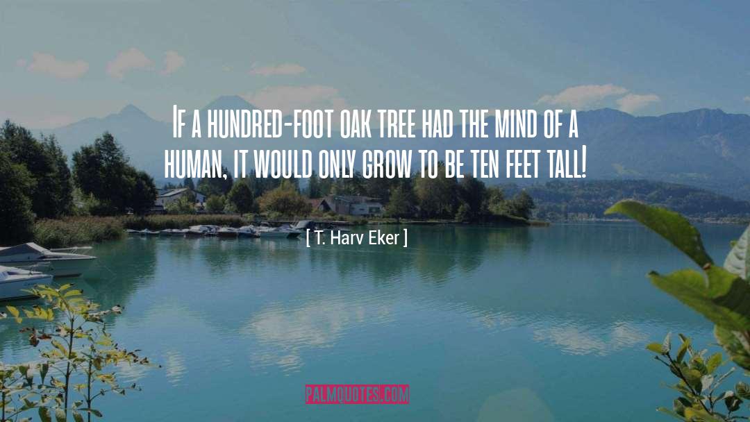 Oaks quotes by T. Harv Eker