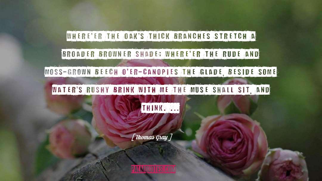 Oaks quotes by Thomas Gray