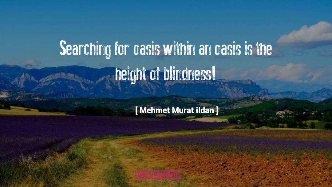 Oasis quotes by Mehmet Murat Ildan