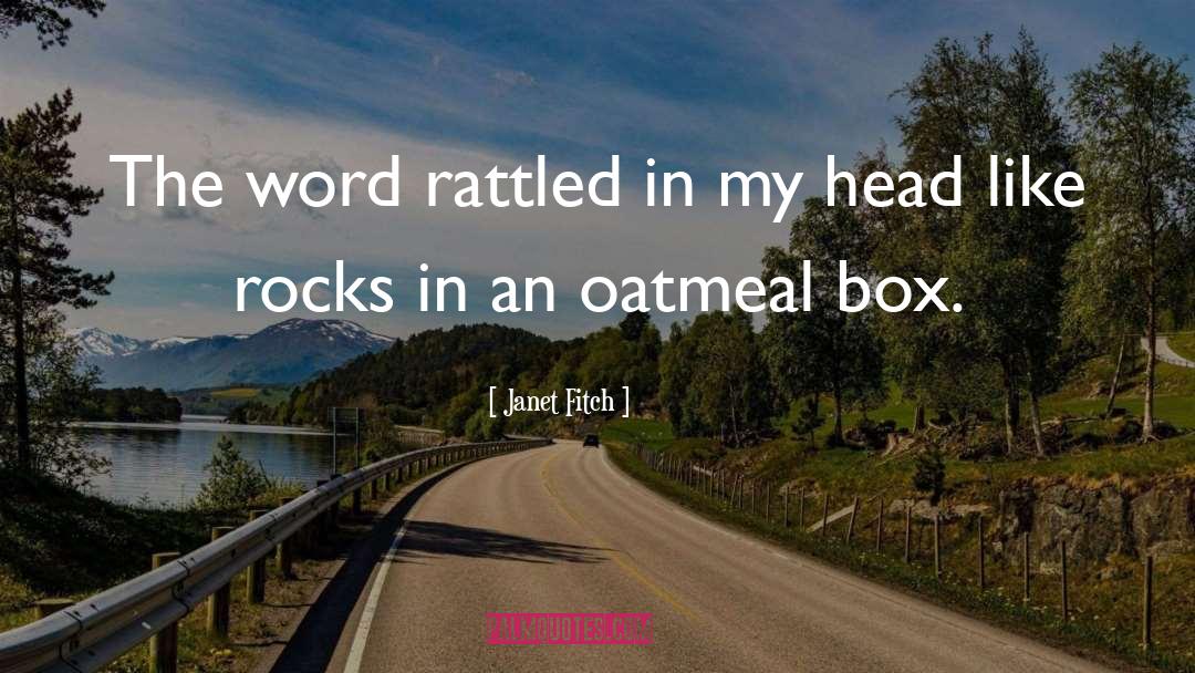 Oatmeal quotes by Janet Fitch