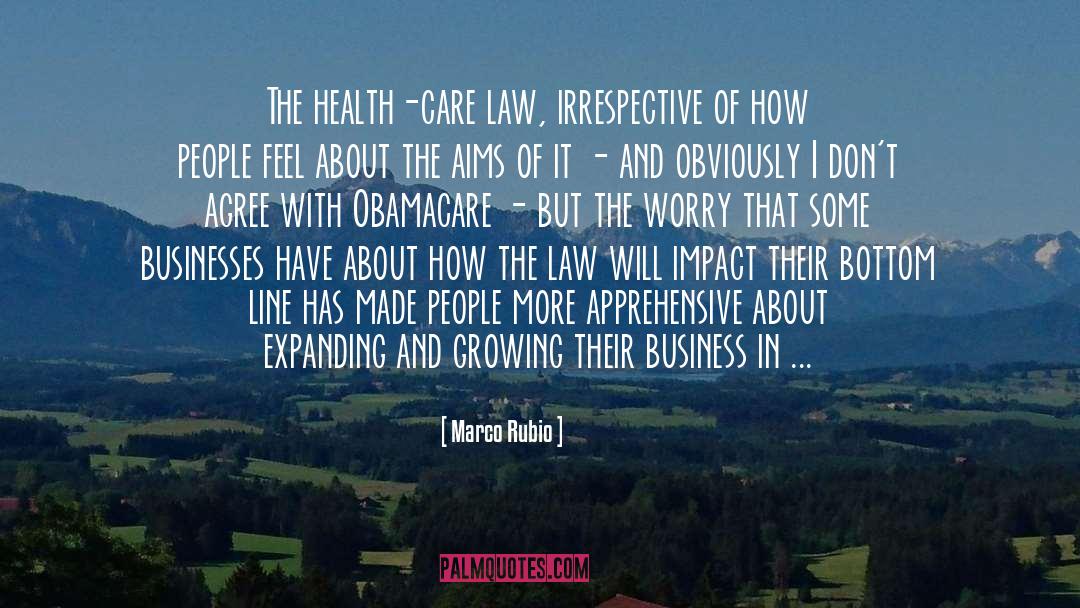 Obamacare quotes by Marco Rubio