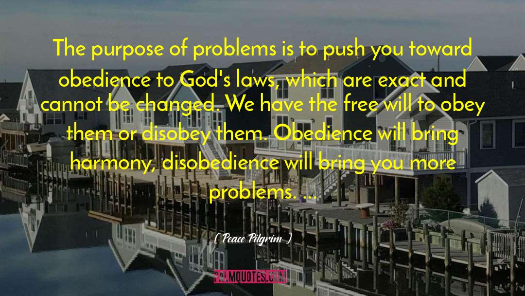Obedience To God quotes by Peace Pilgrim