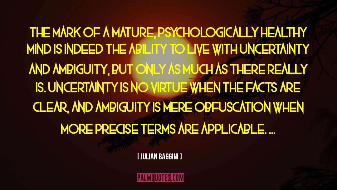 Obfuscation quotes by Julian Baggini